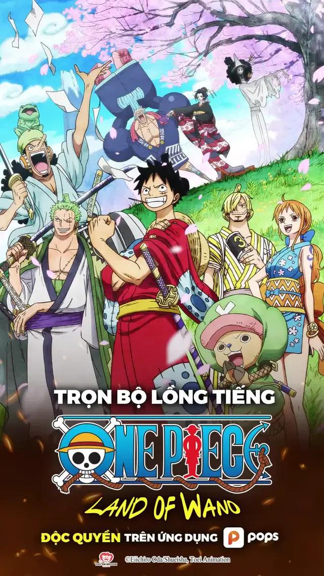 One Piece 20 mùa full HD lồng tiếng xem ngay trên POPS