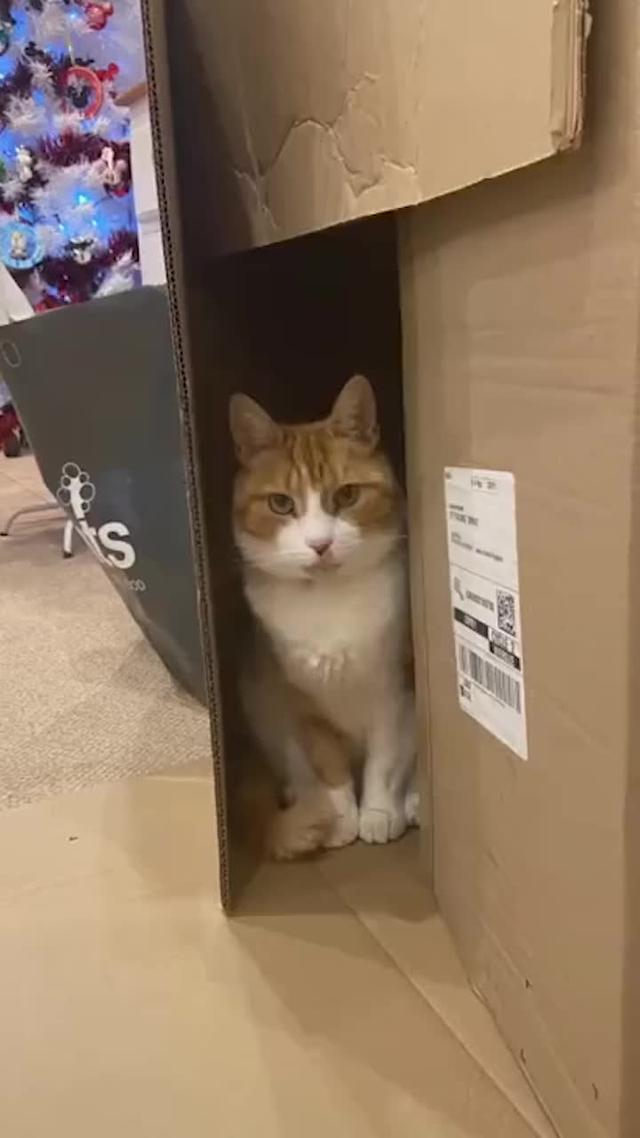 This app recommend by  your friends! Have a try!