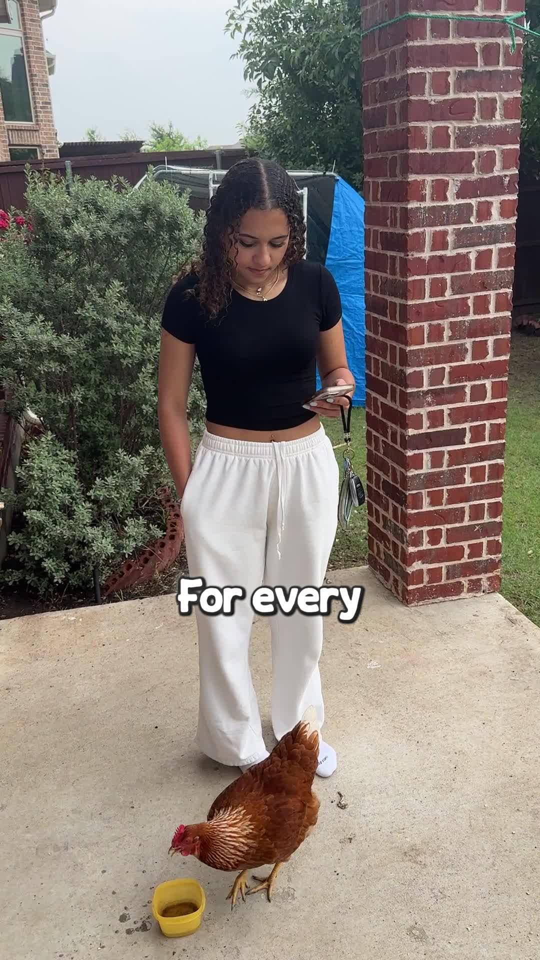 Real or fake, try it out