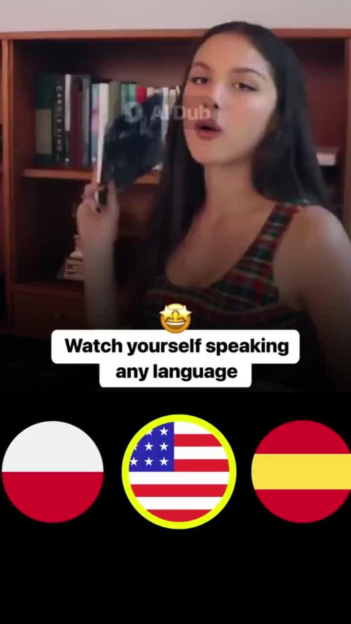 Free translation application.