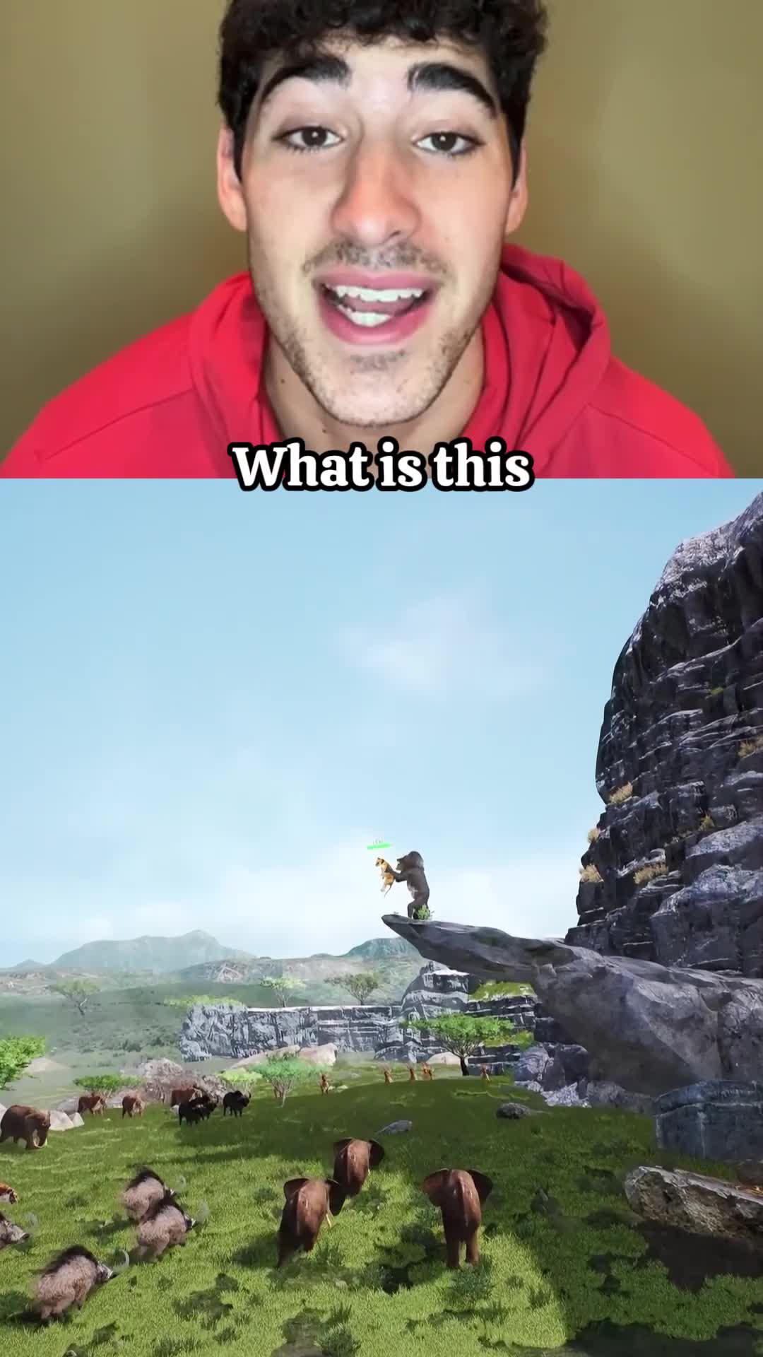 Rule your animal kingdom from now on!