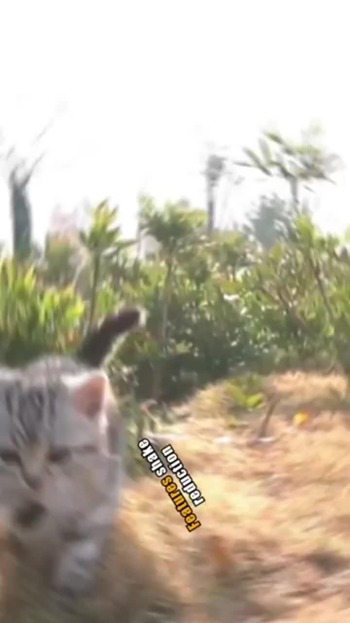 Free Download on Google Play Store!