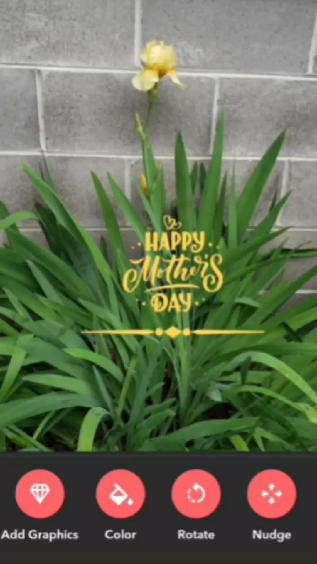 The only app for creating posters and stickers that you'll ever need.