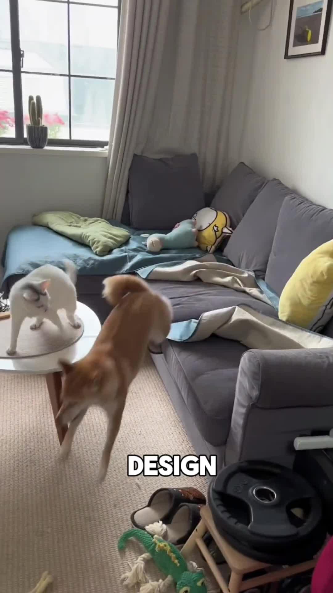 AI Home Design App - Arch AI