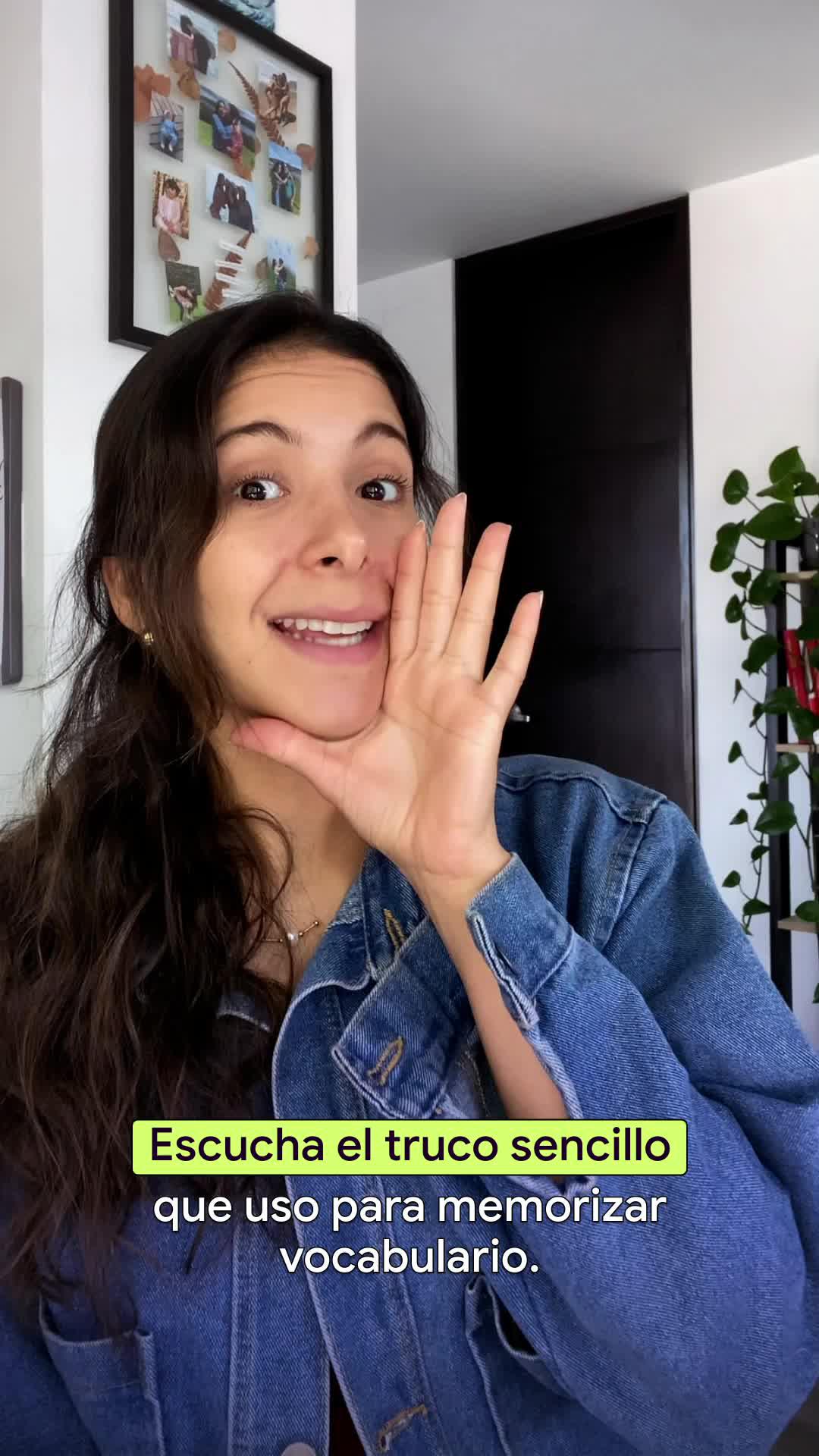 Para todo nivel de vocabulario