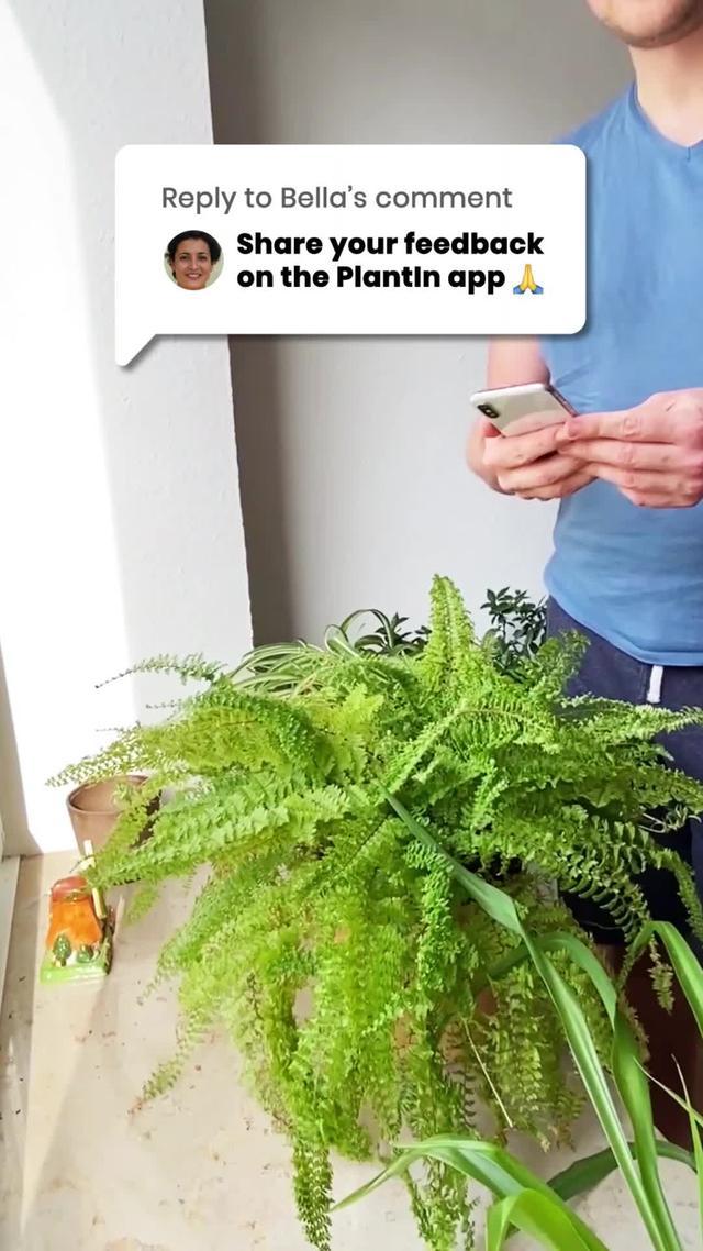 Take Care Of Your Plants Now! Try for Free!