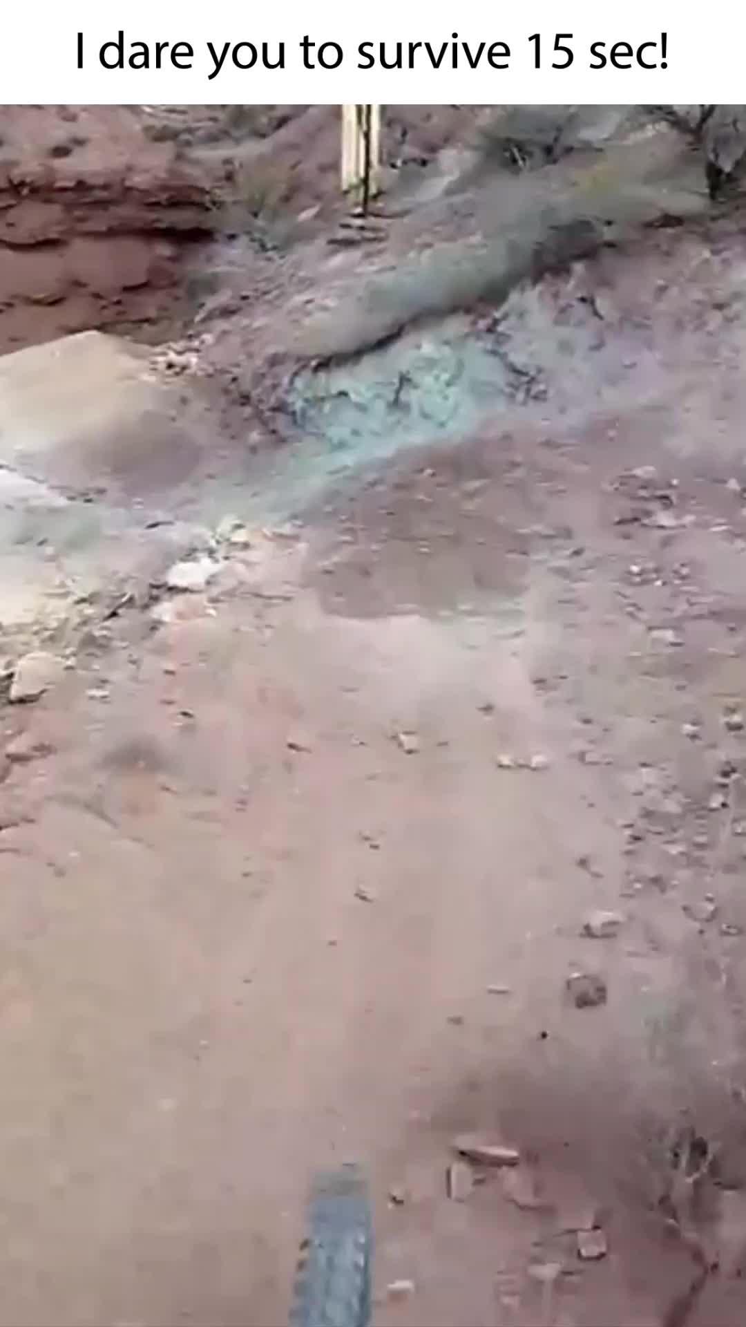 The best mount biking game ever!