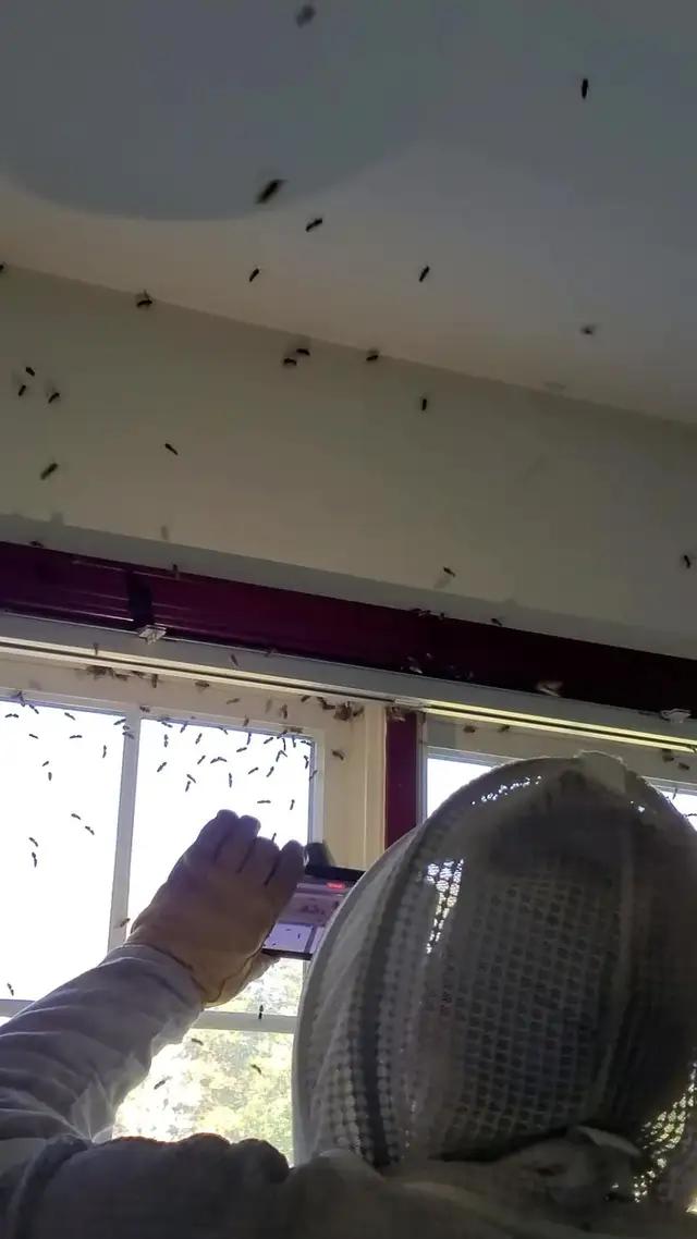 Can you build your dream restaurant