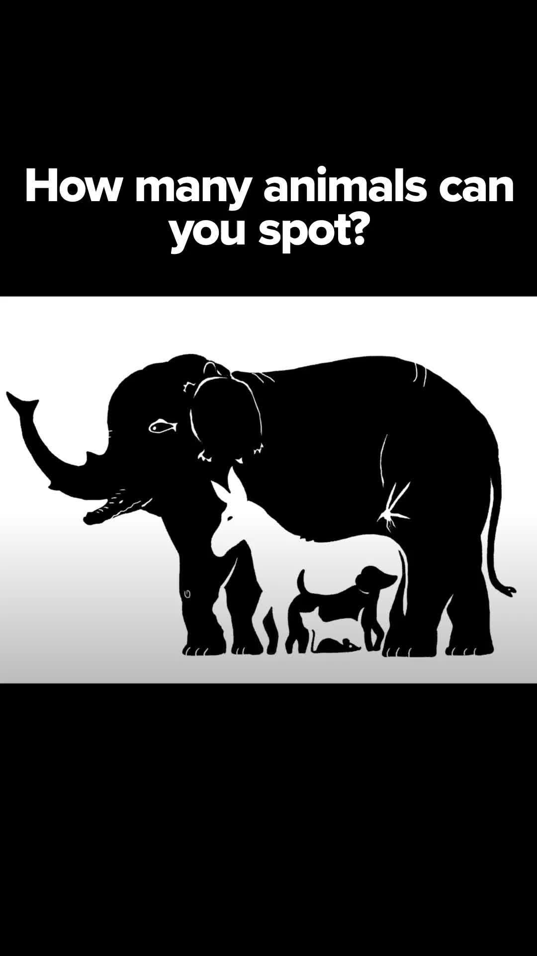 Are you smart enough to solve this?