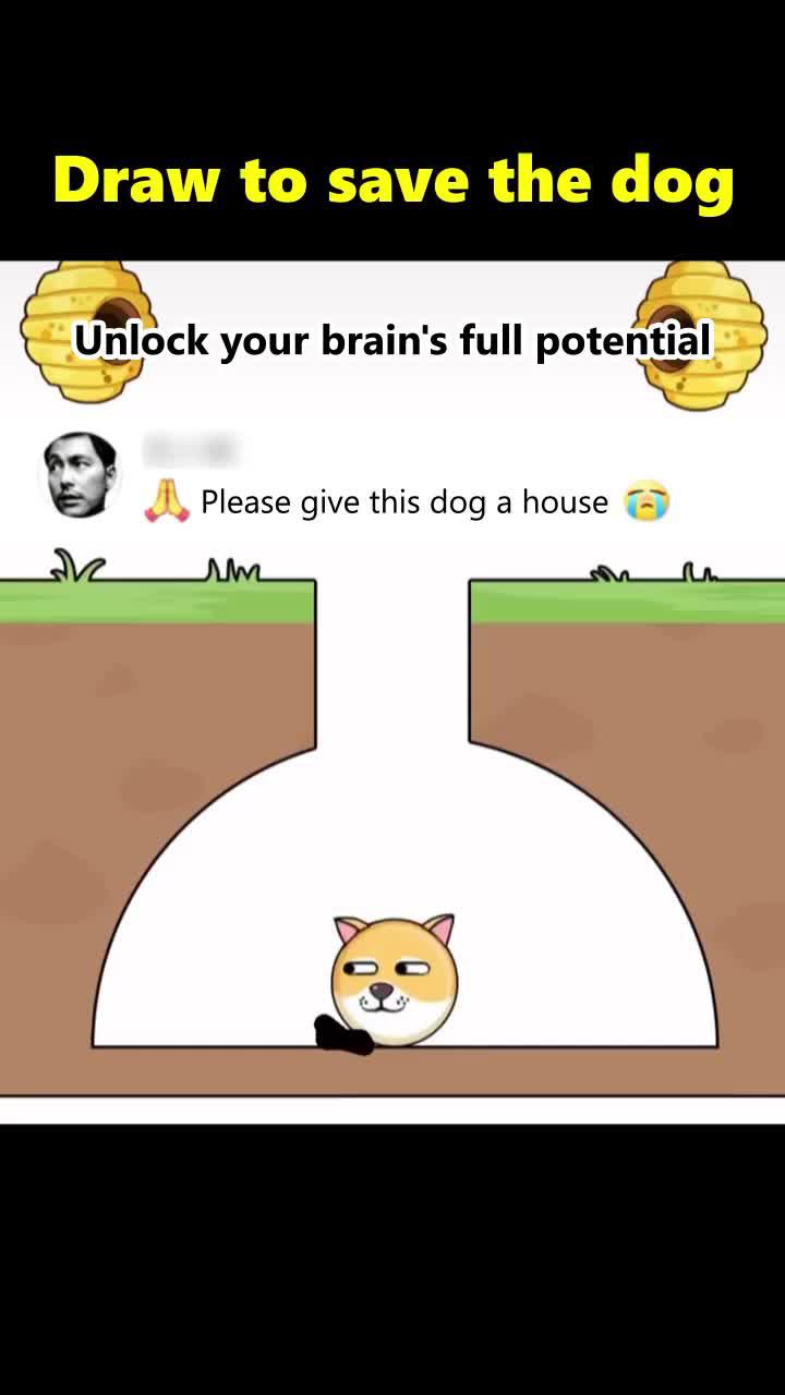 It's time to train your brain!