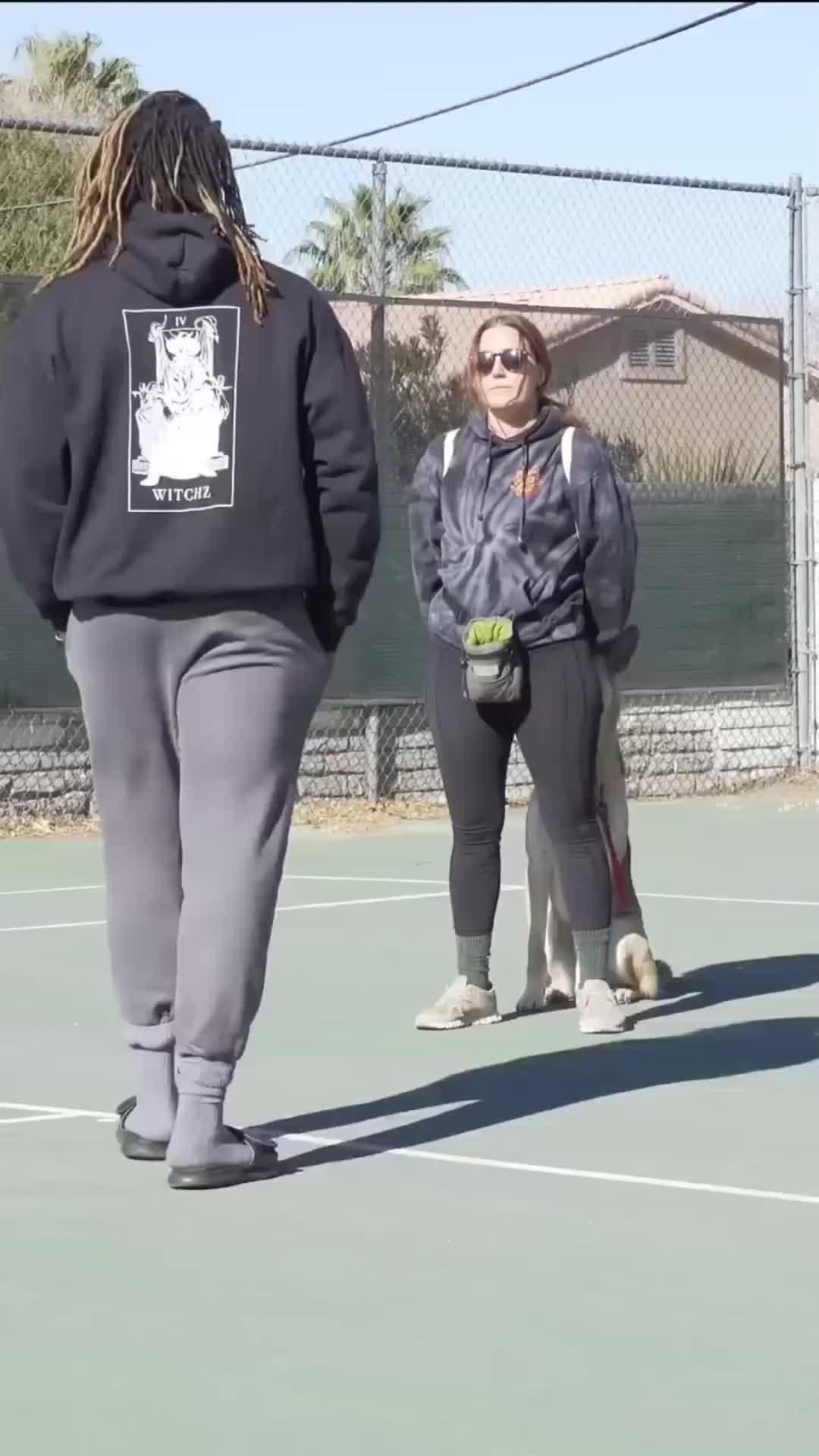 Elevate Your Pup's Skills with Woofz!