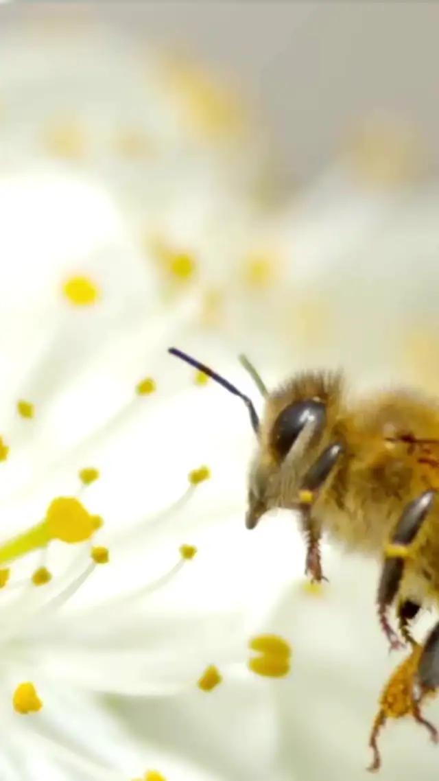 ING Mobil’den e-Turuncu Hesap açın, %45 Hoş Geldin Faizi’yle biriktirirken vade de beklemeyin.