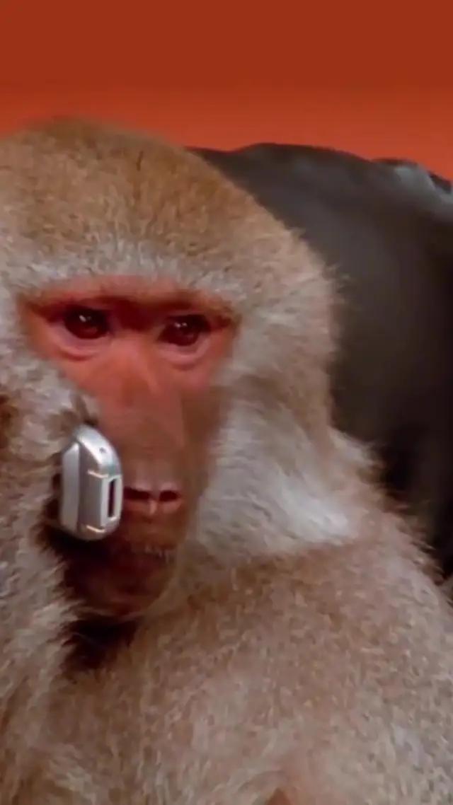 أفخم الصكات بأي وقت ومكان