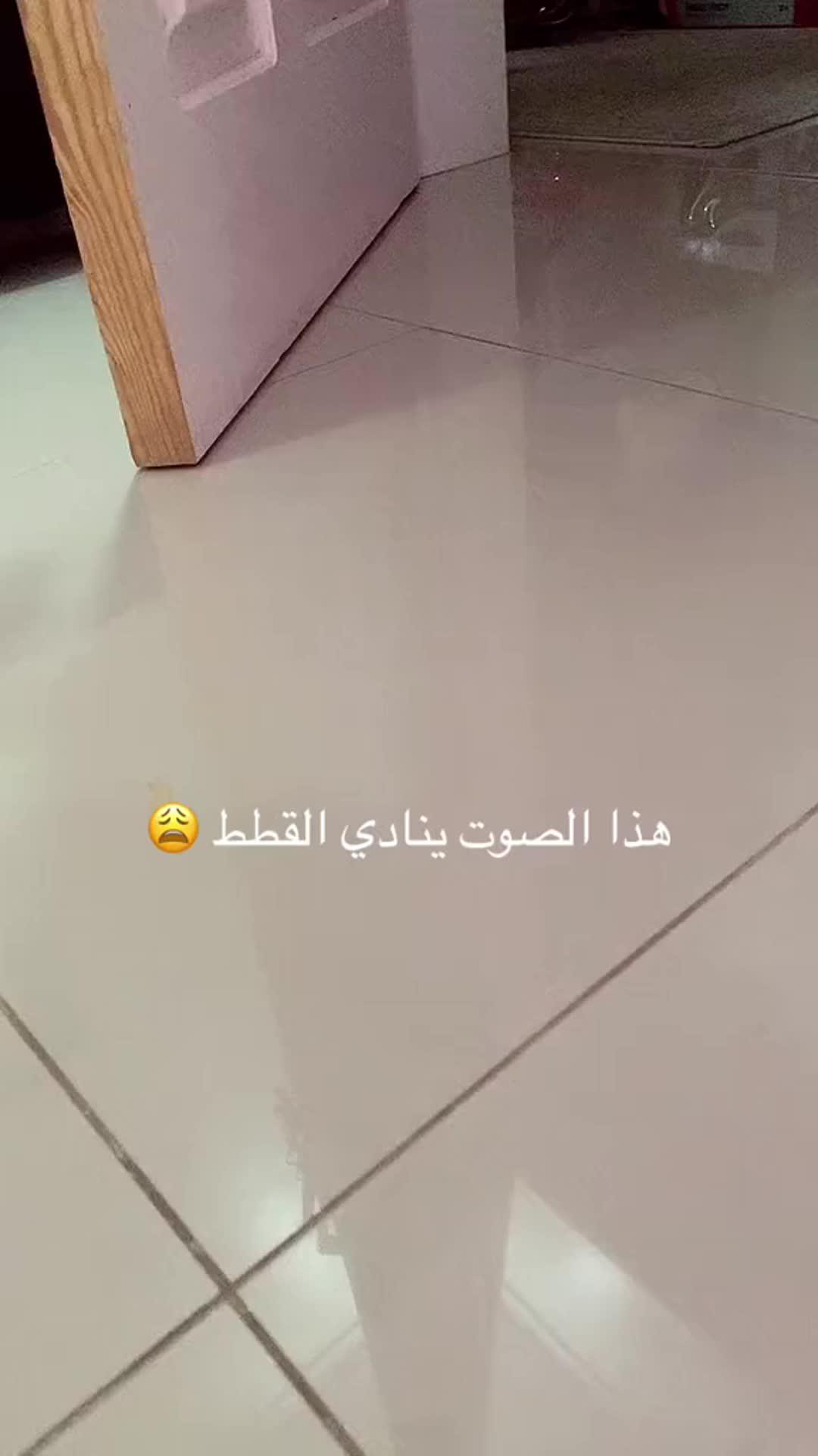 التحميل الان
