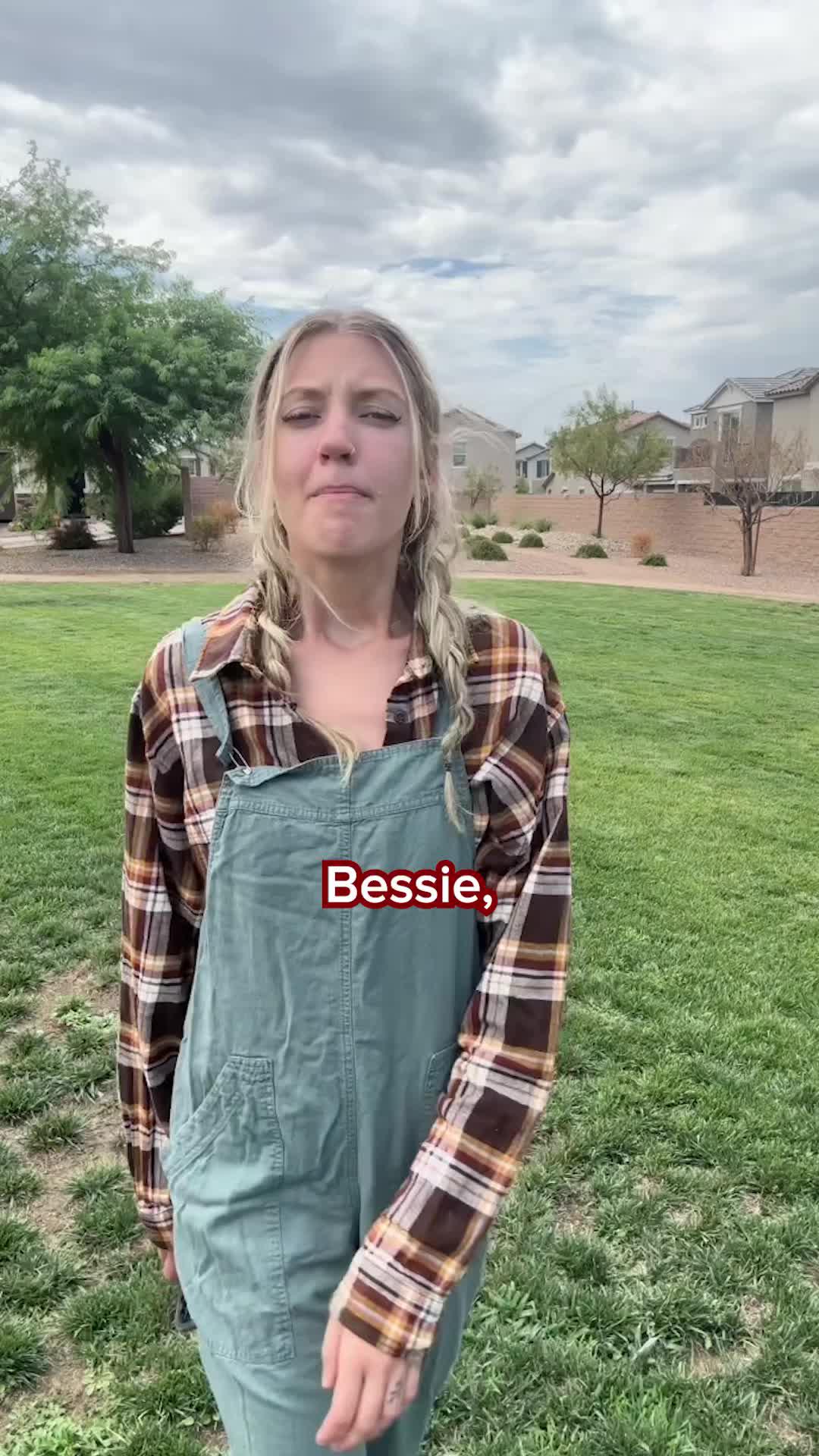 We REALLY like cows too!