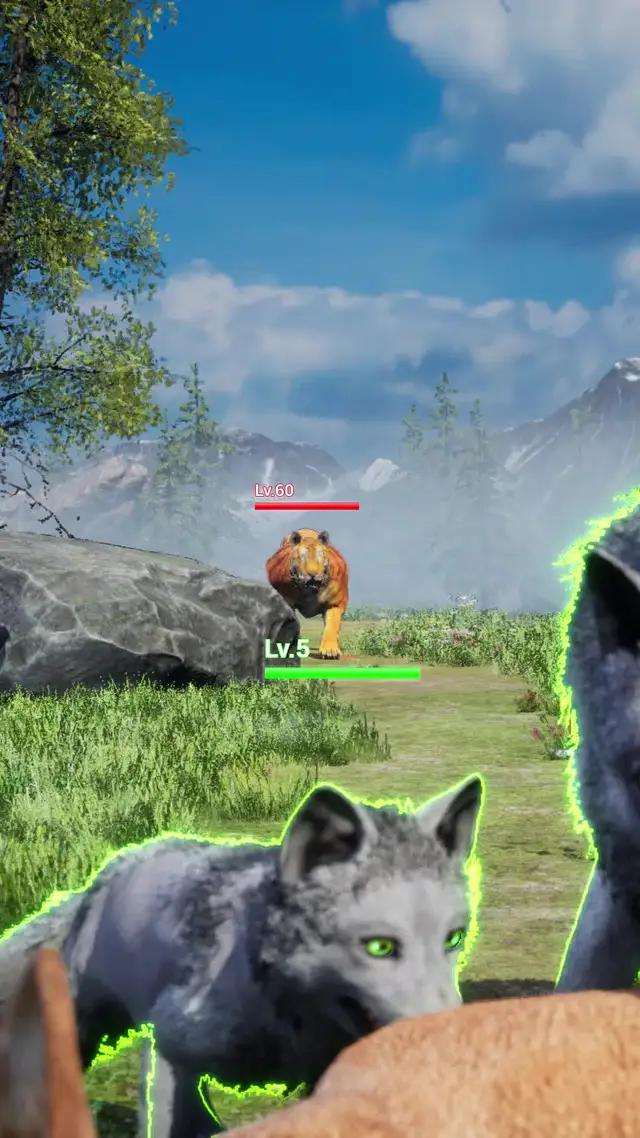 The hunt is ON！
