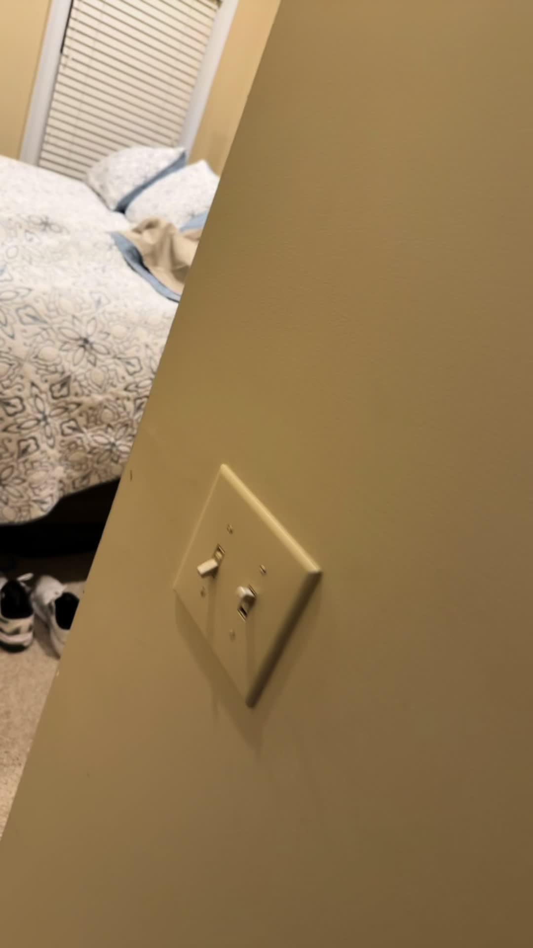 Study for both your DMV permit test and driving test