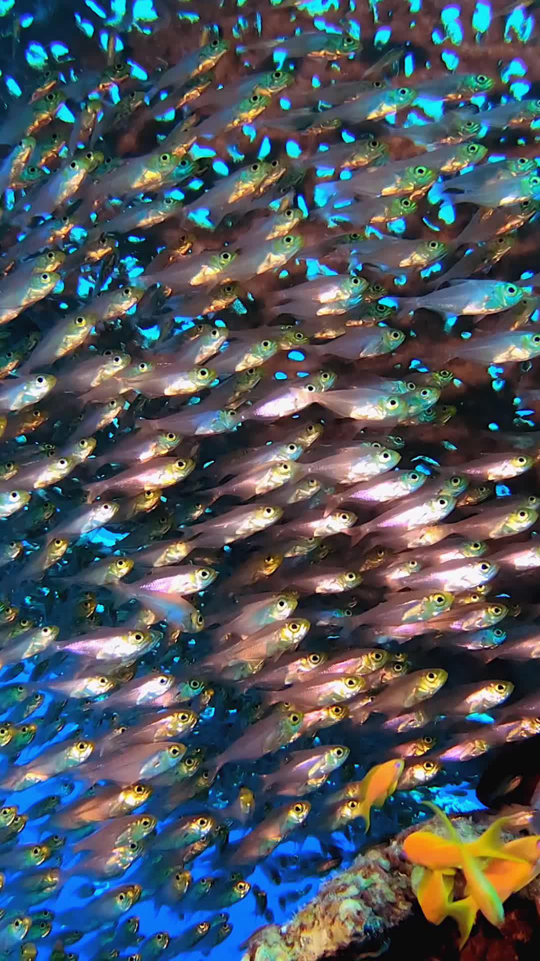 Stay in the loop with all the local news you need, all in one place!