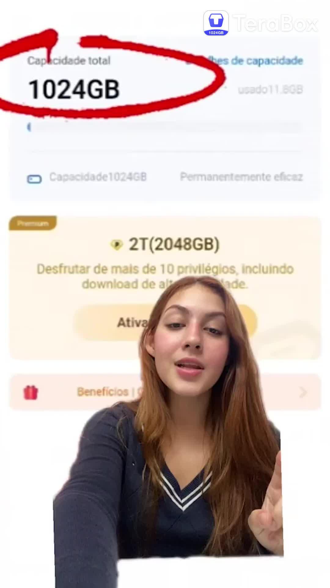 TeraBox, armazenamento pessoal extra grande na nuvem
