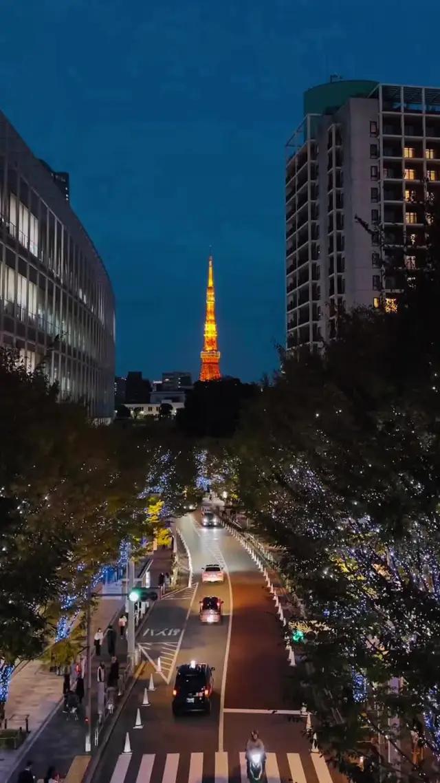 旅行予定が急に変更になっても安心！安全でフレキシブルな旅をお得に楽しむなら、Trip.comがおすすめ！