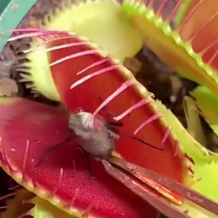 Did you try this before? Come on! Download for FREE!