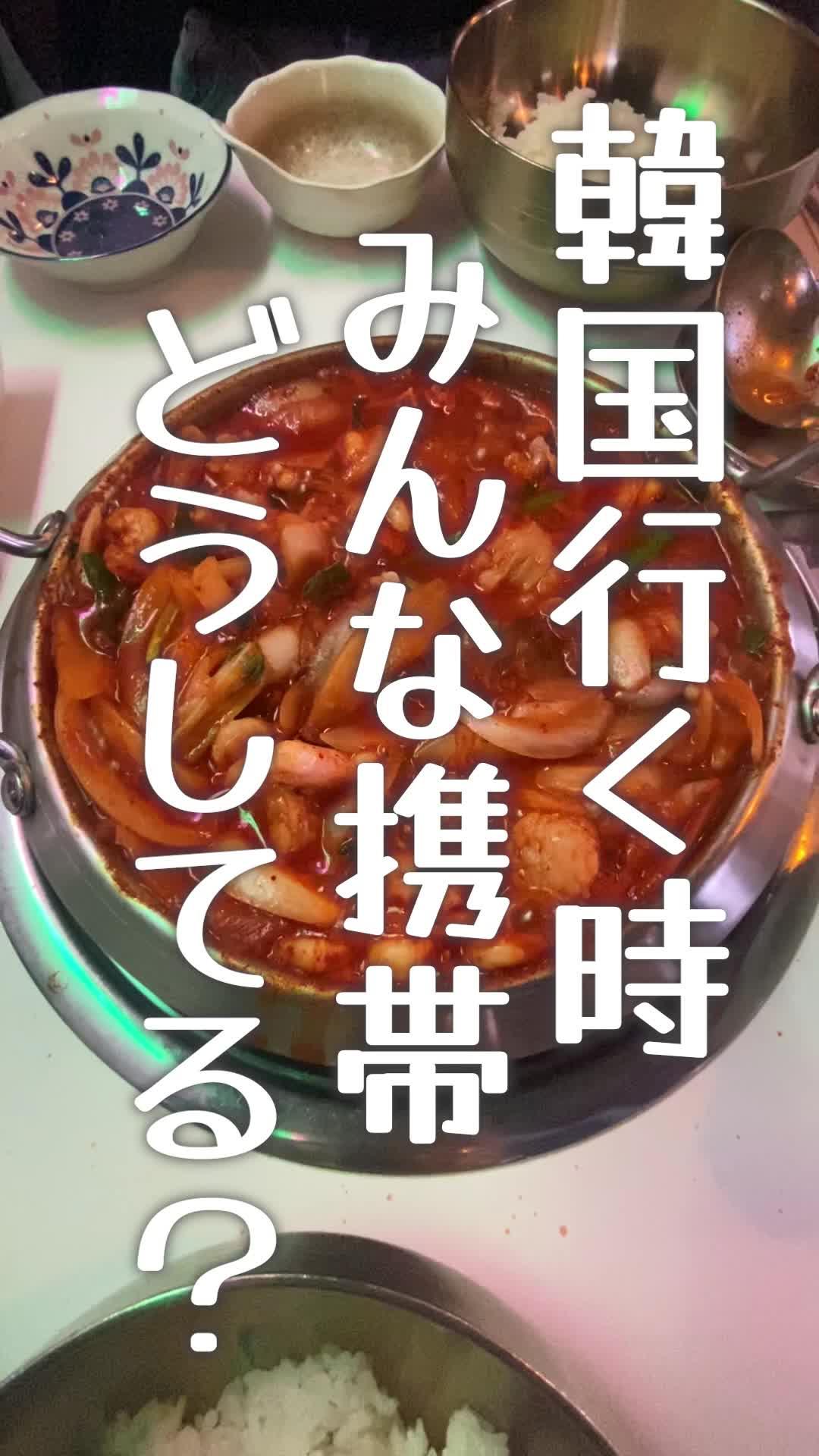 リアルがちで海外行く時これ無いとしんどい。