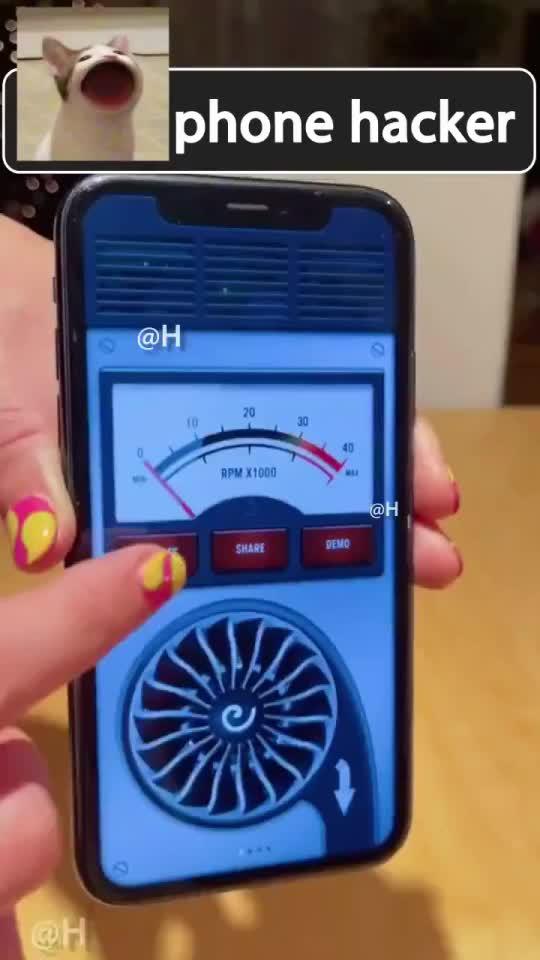 100% free app, install now