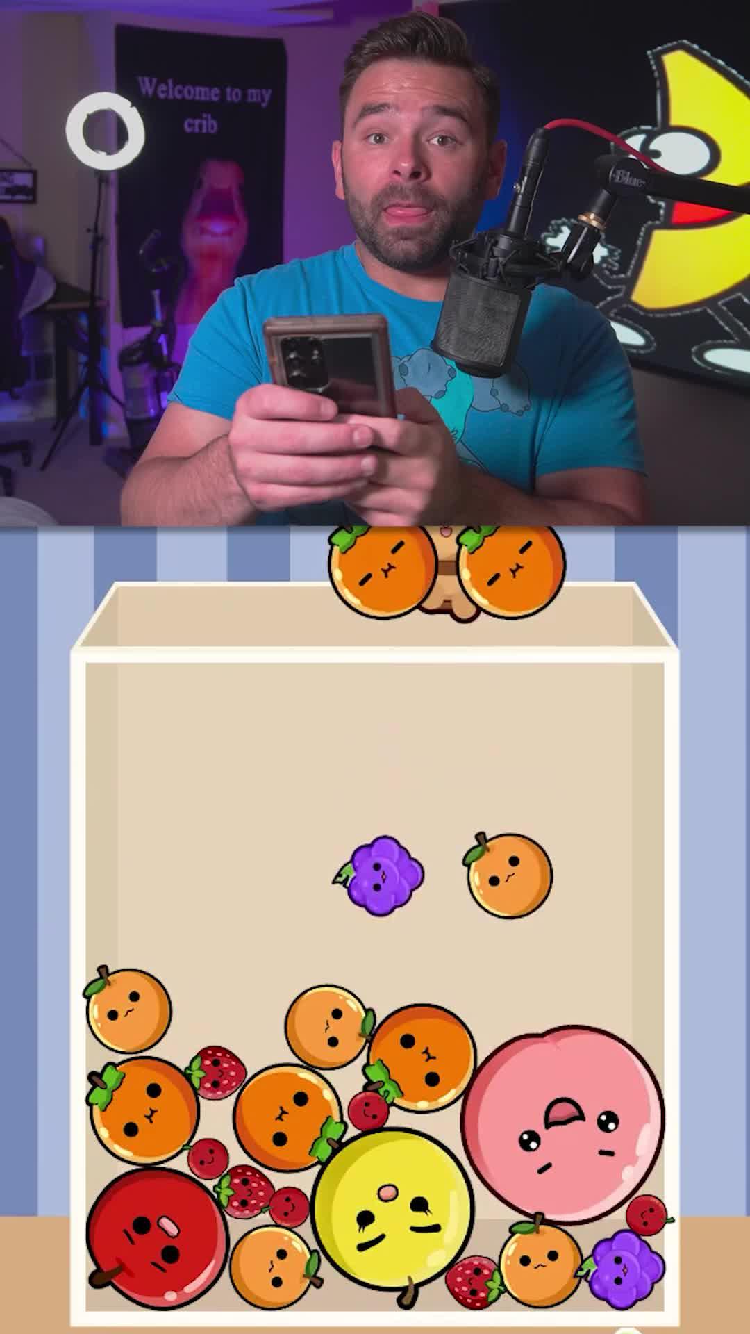 Watermelon no WIFI offline game!