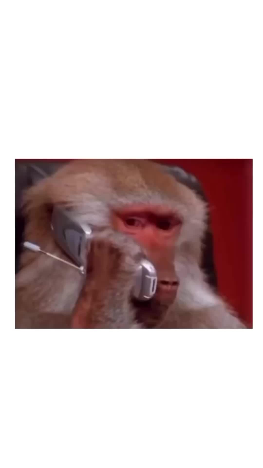 Cool study app for introvert! @MBTI