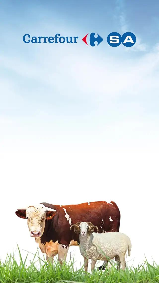 Kurbanda Doğru Adres CarrefourSA Online Market. Sipariş Verin, Ücretsiz Kapınıza Gelsin!