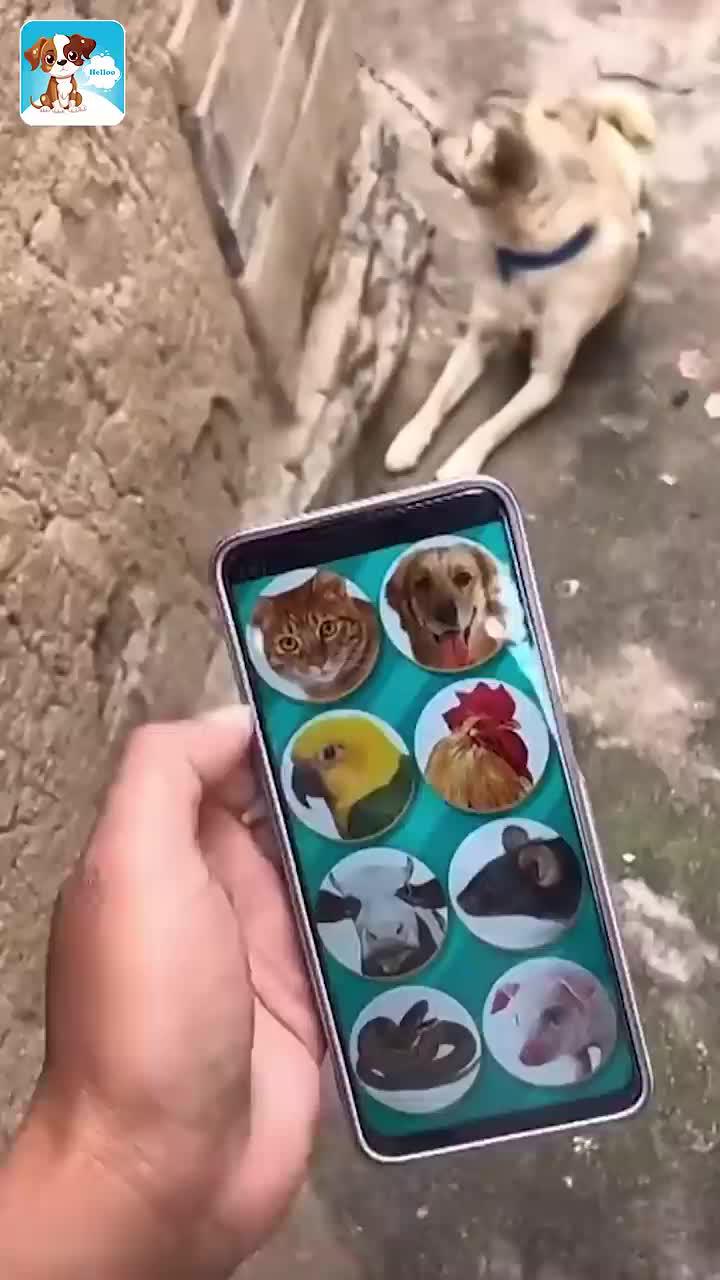 This application can make your phone run faster! Insatll it for free!