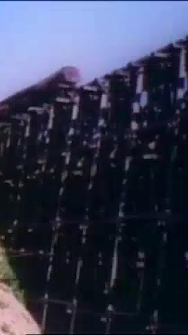 Build your own lumber harvesting empire!