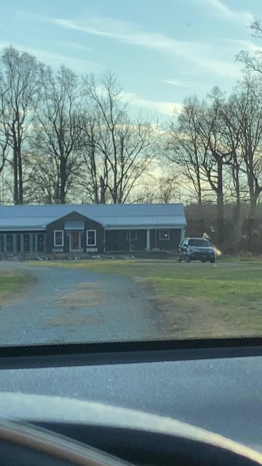 Elevate Your Pup's Skills with Woofz!