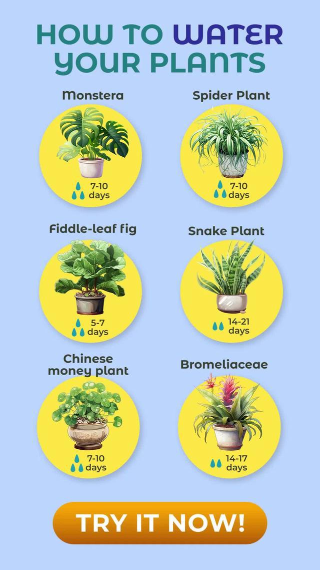 Instantly identify 10,000+ plant species, include flower, tree, leaf, weed, and more.