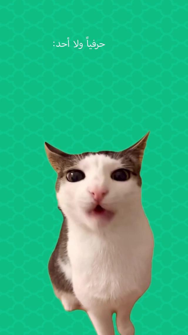 عروض على أول 2 طلبات*