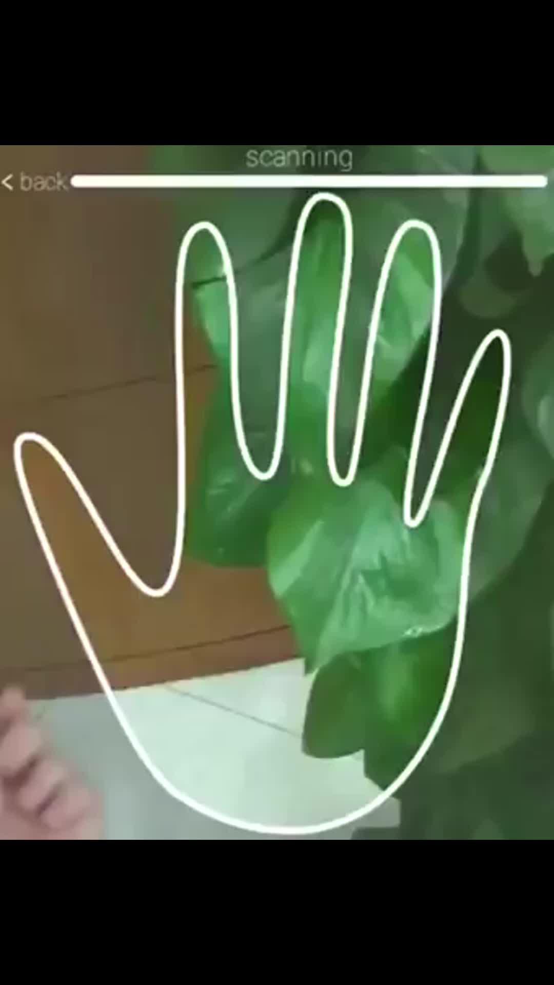 What do your palm lines tell you?