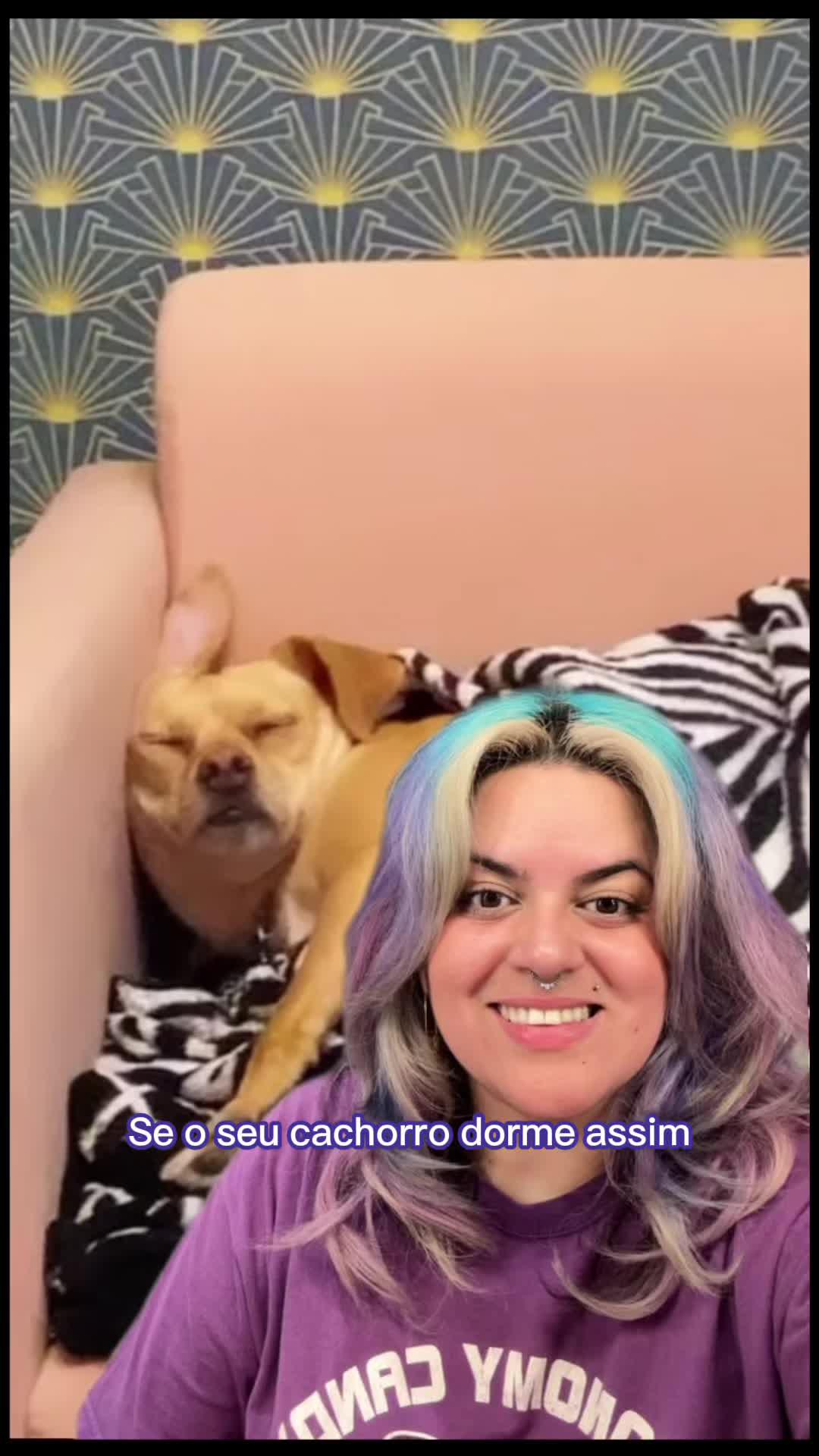 Pet Friday dos $onho$ na Petlove. Use o Cupom GANHE20 p/ Ganhar 20% Off na 1ª Repet