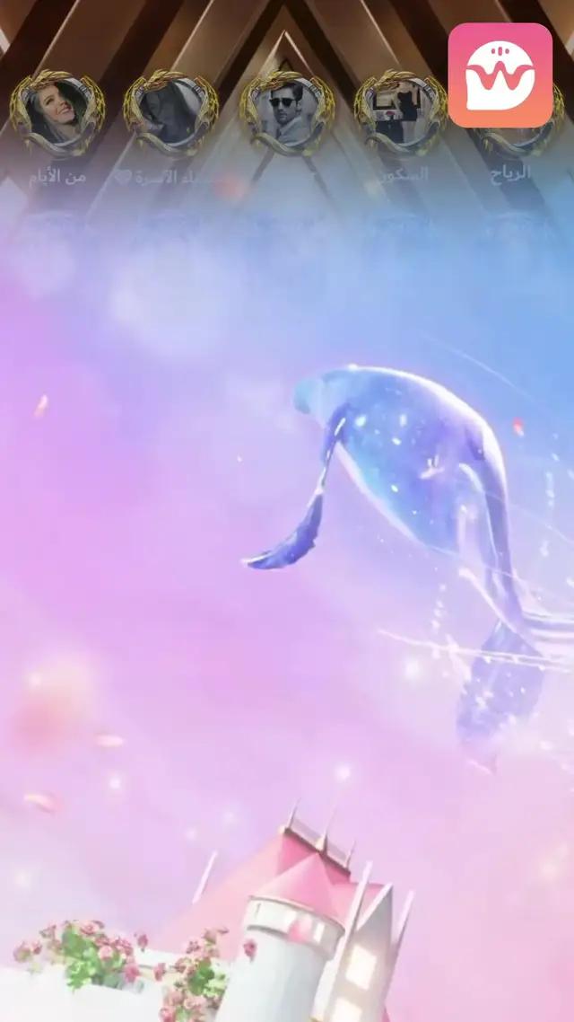 ا حاجة لإظهار وجهك،  تحدث مع أي شخص بحرية في ويسبر