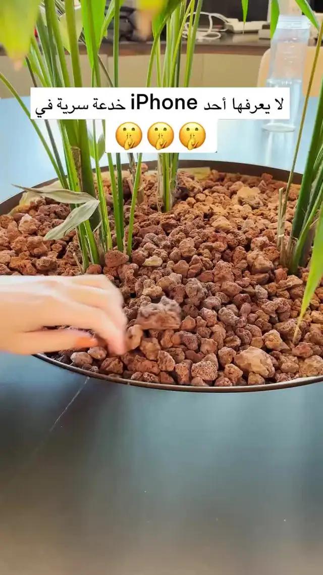 Daily Clean is your powerful cleaning tool.