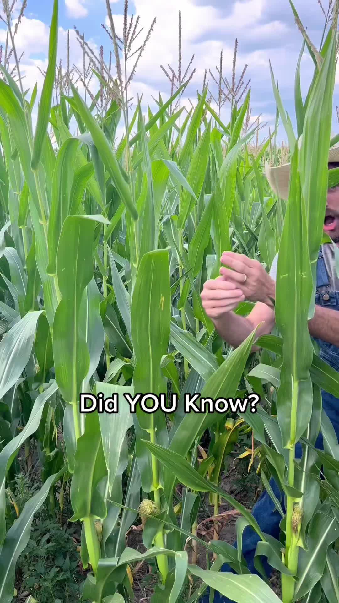 how corny of us 🤓