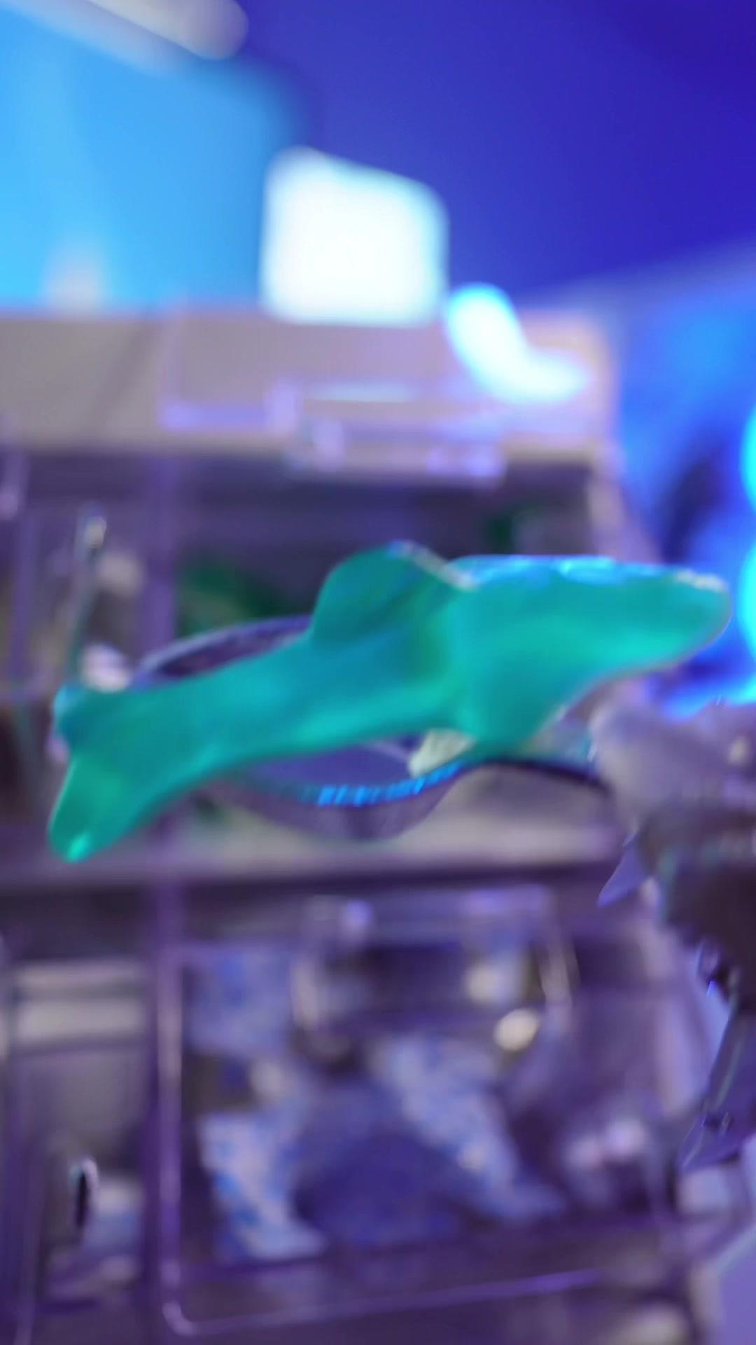 #PR #スタスト 海の生きもの、何が好き？ アプリ『スタスト』調べてみてね🪼 #アプリ #夜食 #kawaii #ASMR #bluesetup #洗い物を増やす天才 #aesthetic #おすすめアプリ #おすすめゲーム #かわいいアプリ #gamingroom #ゲーム女子 #癒し