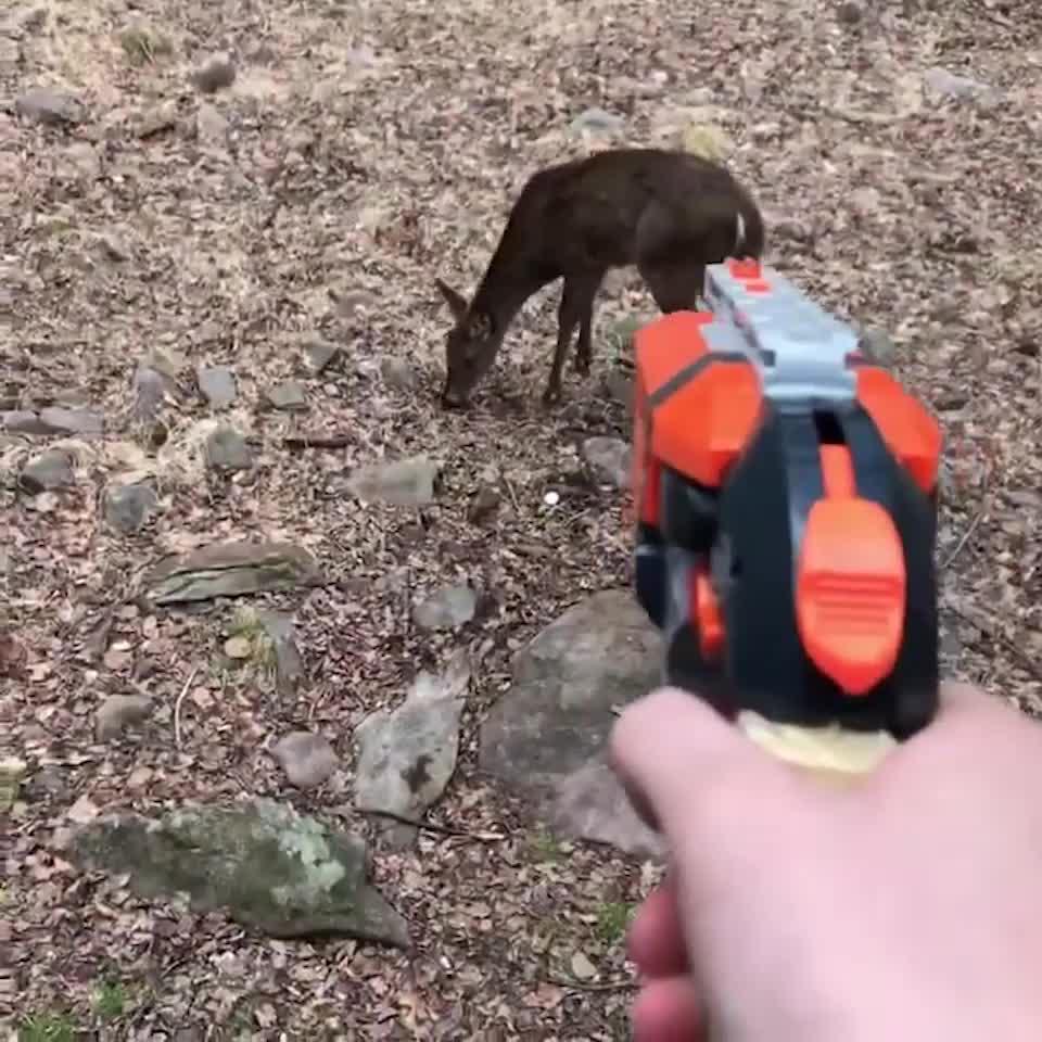 Free gift code: <deerhunter>  Only Today!!!