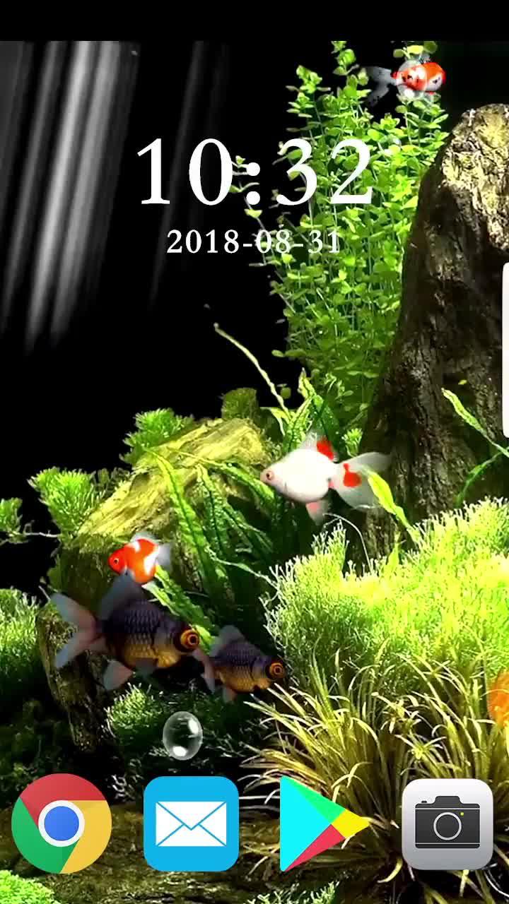 Downlad for free app for you!