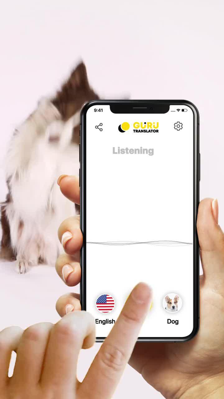 Wow! This translator is so cool!