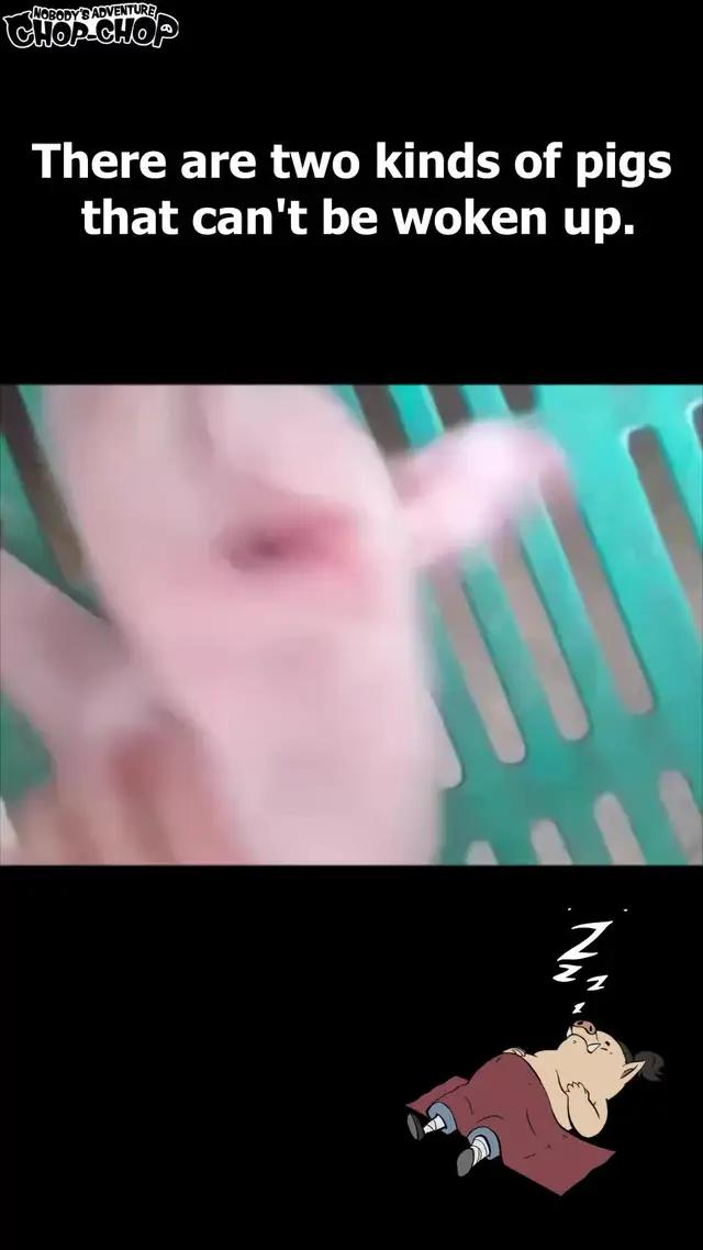 Easy to play anywhere, anytime!