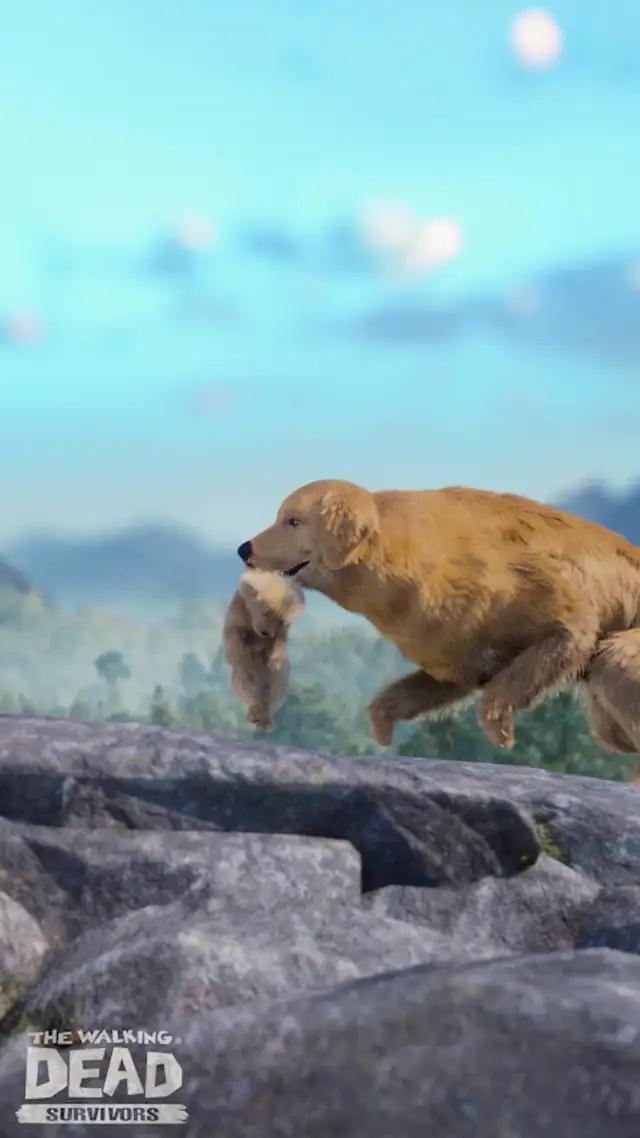 Can you survive in the world of The Walking Dead®?