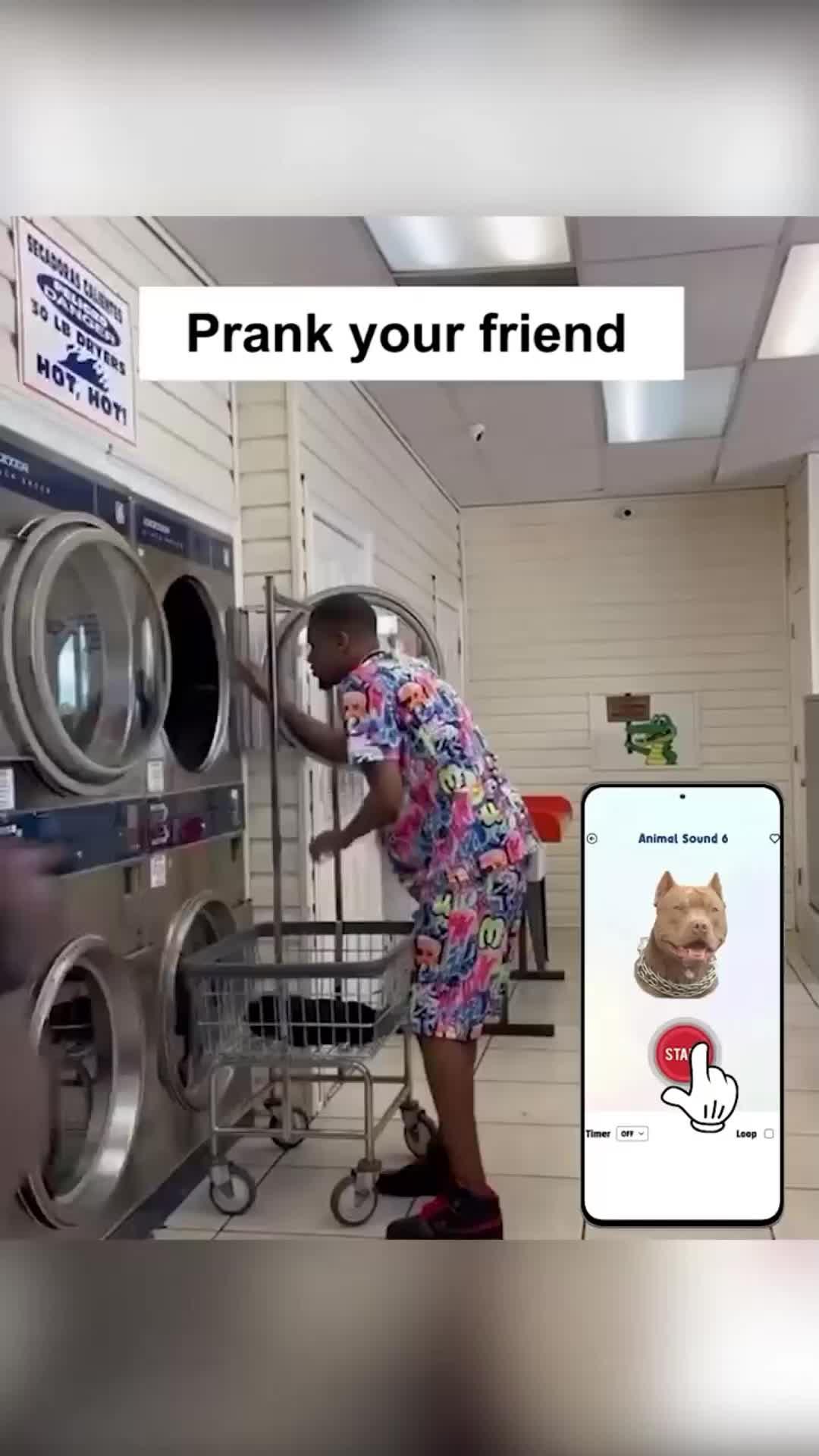 Easily pranks your friends with this app!