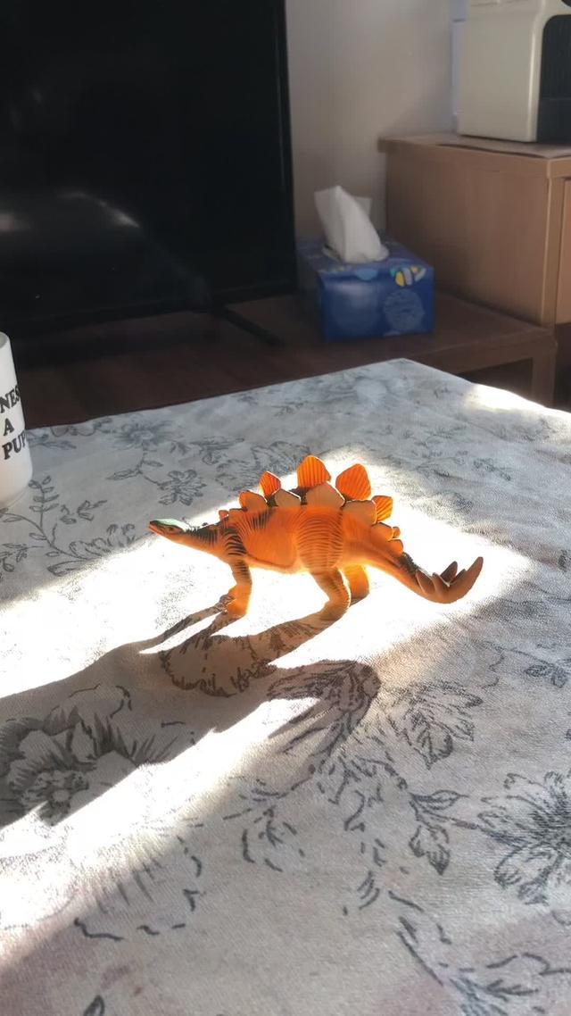 15秒內獲得驚人的照片