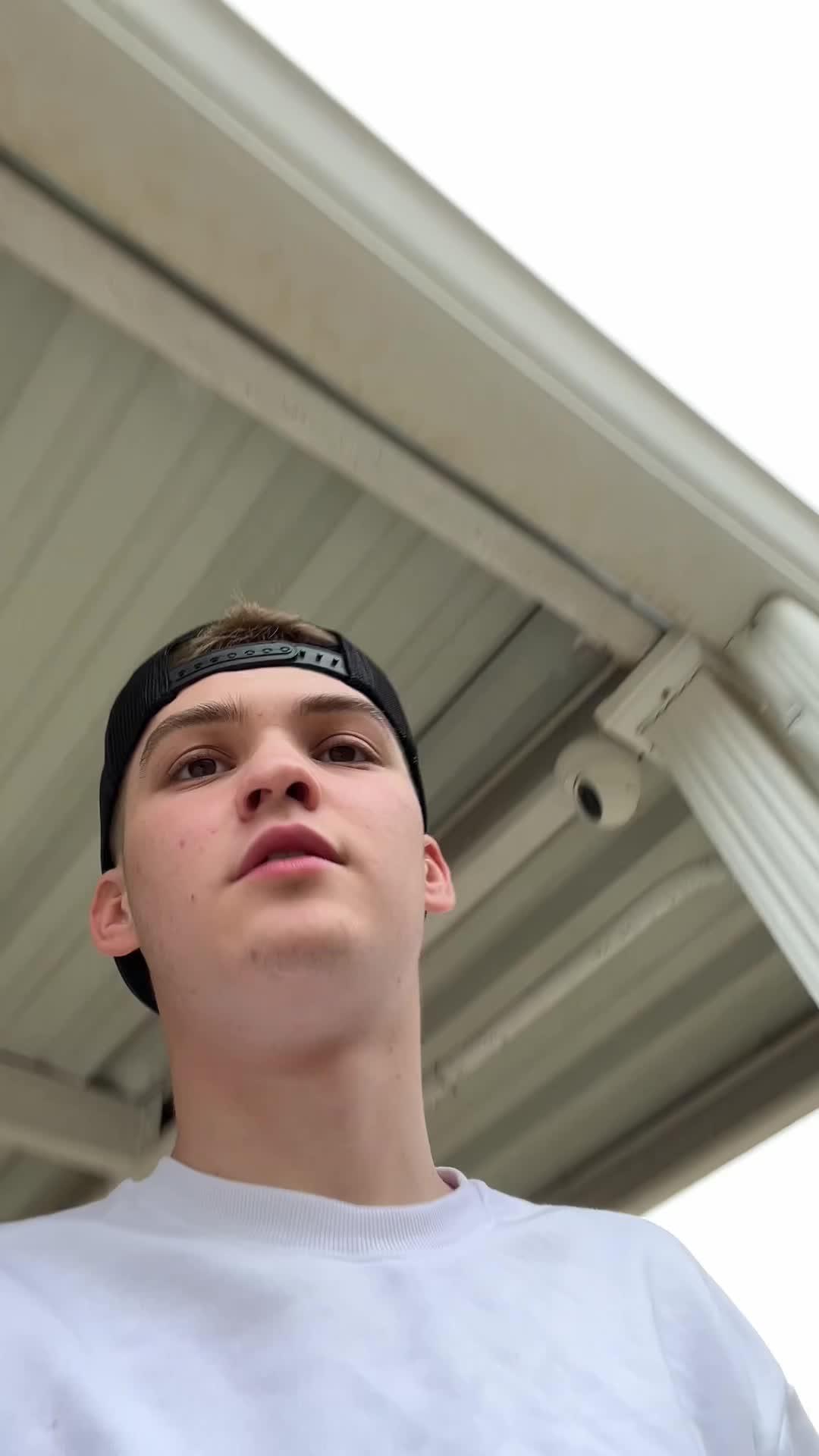 Identify any plant & diagnose plant diseases instantly!