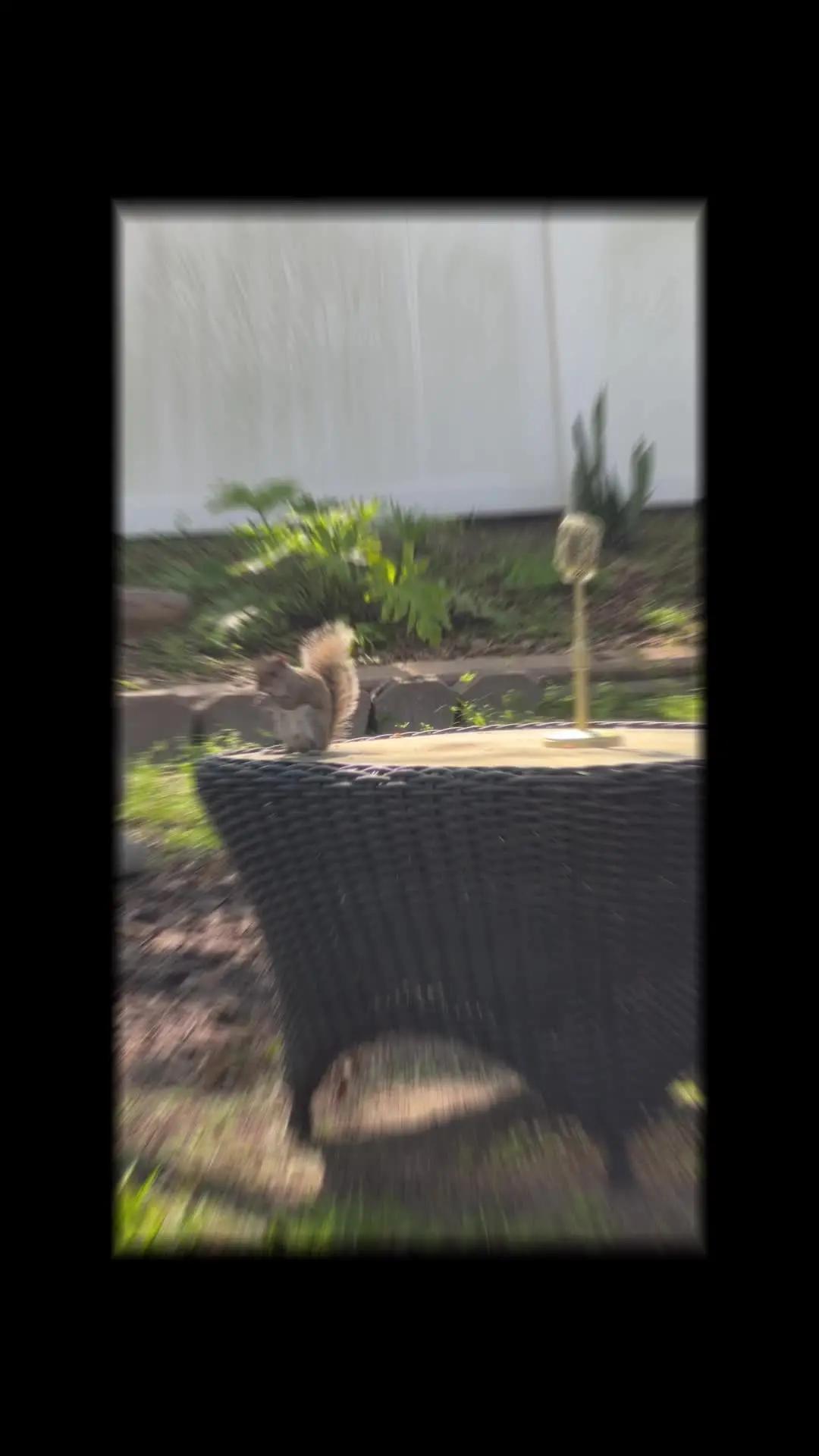 Sing & share your unique sound